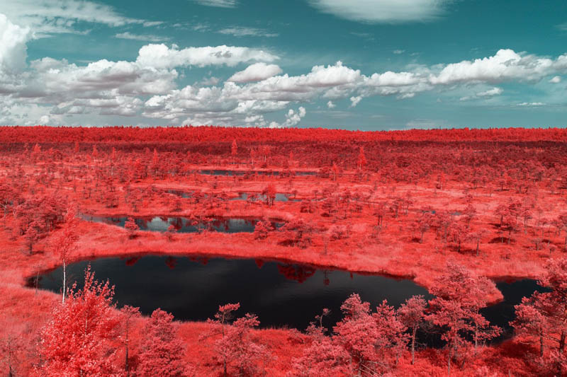 Stunning Infrared Photography By Pierre Louis Ferrer Design Swan