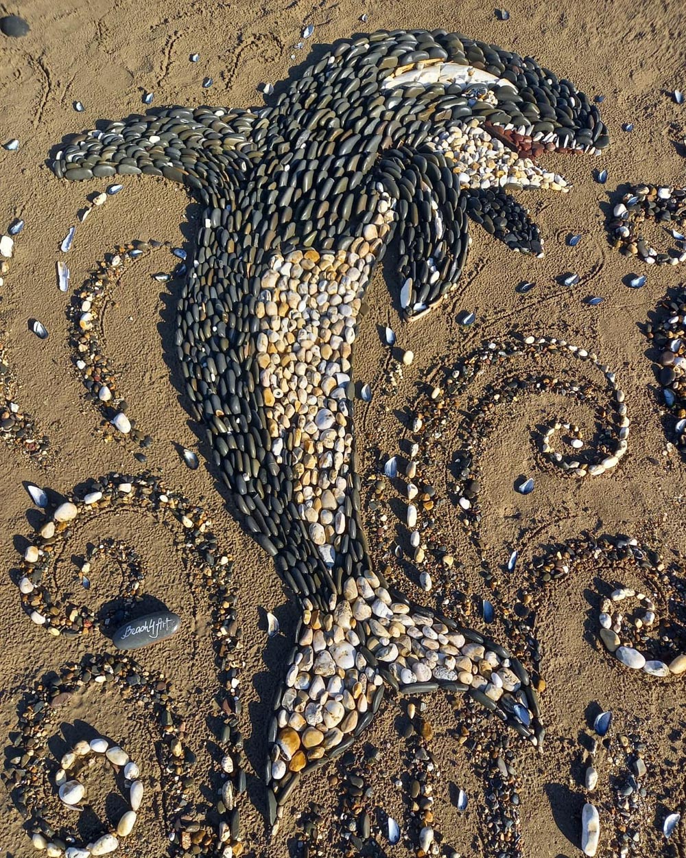 Charming Beach Art By Beach4Art Design Swan