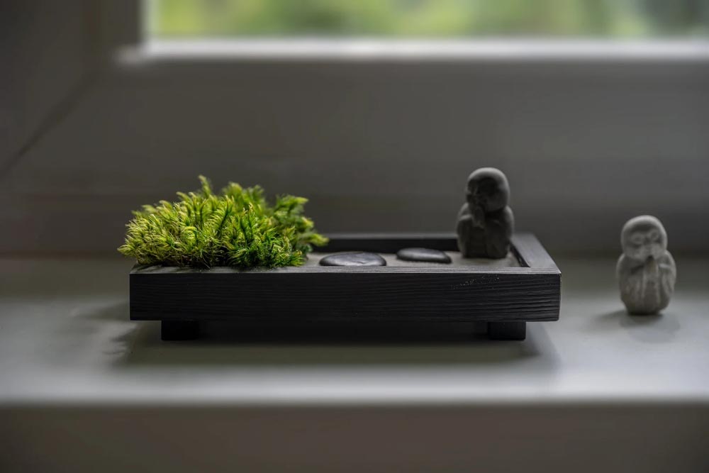 Desktop Zen Garden Kit - Design Swan