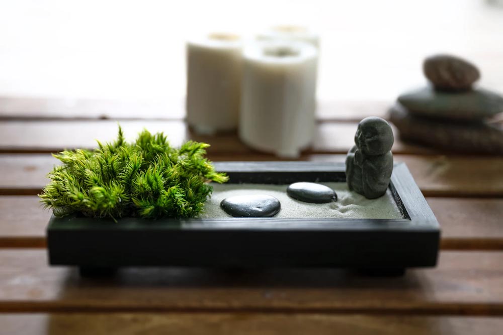 Desktop Zen Garden Kit - Design Swan