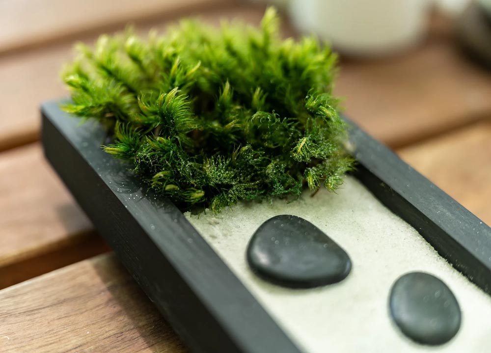 Desktop Zen Garden Kit - Design Swan