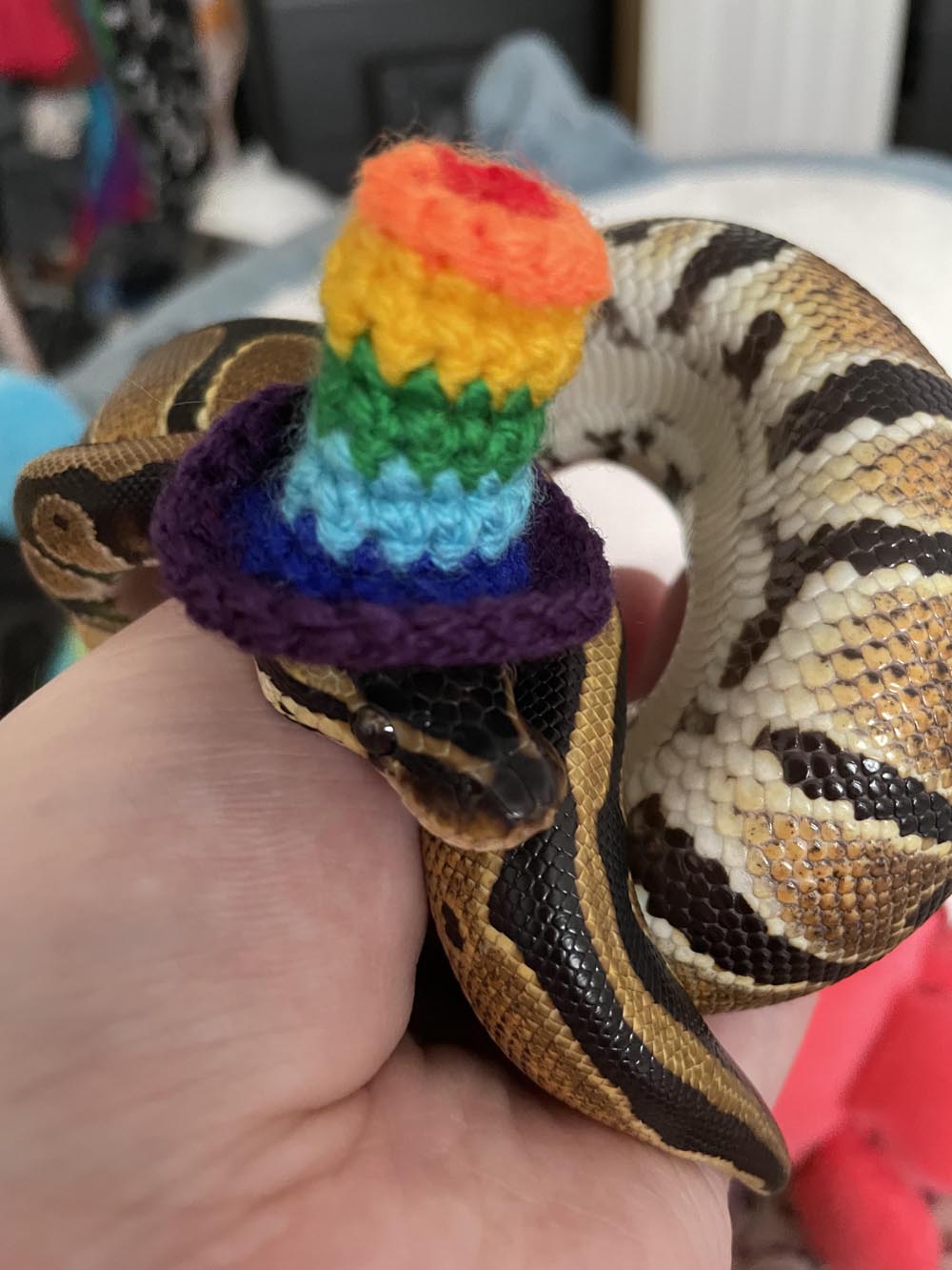 snakes wearing hats gif