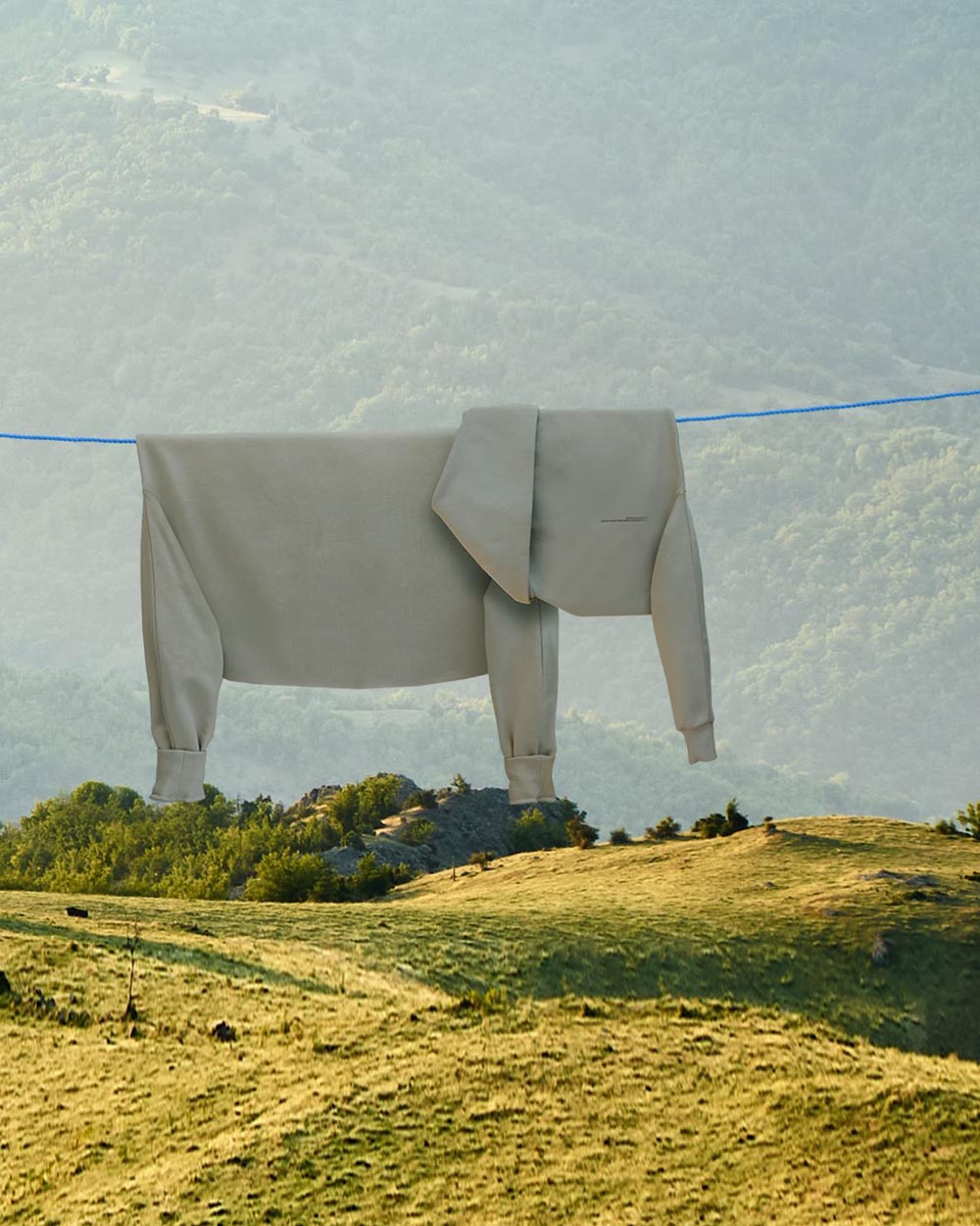 Clothesline Animals Series  Helga Stentzel Official Store