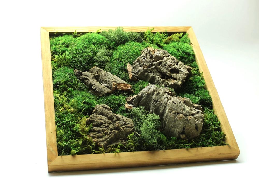 Decorative moss frame : r/Mossariums