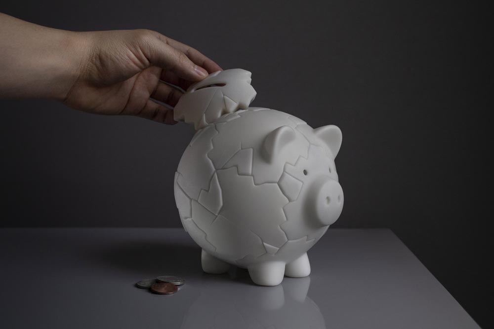 Penny the Breakable Piggy Bank Design Swan