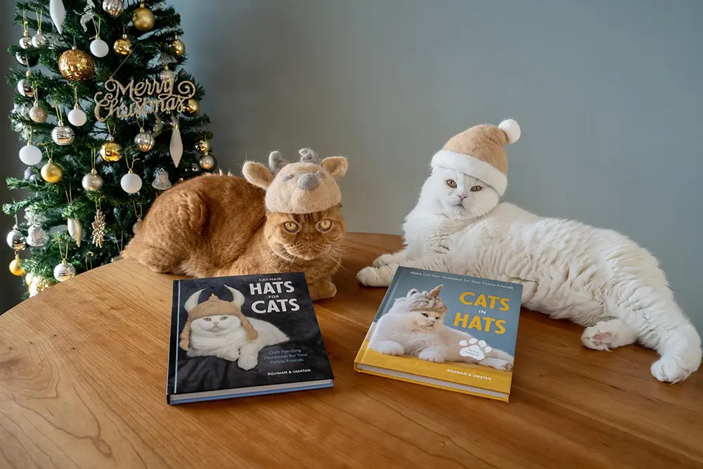 Cat-hair Hats For Cats - By Rojiman & Umatan (hardcover) : Target