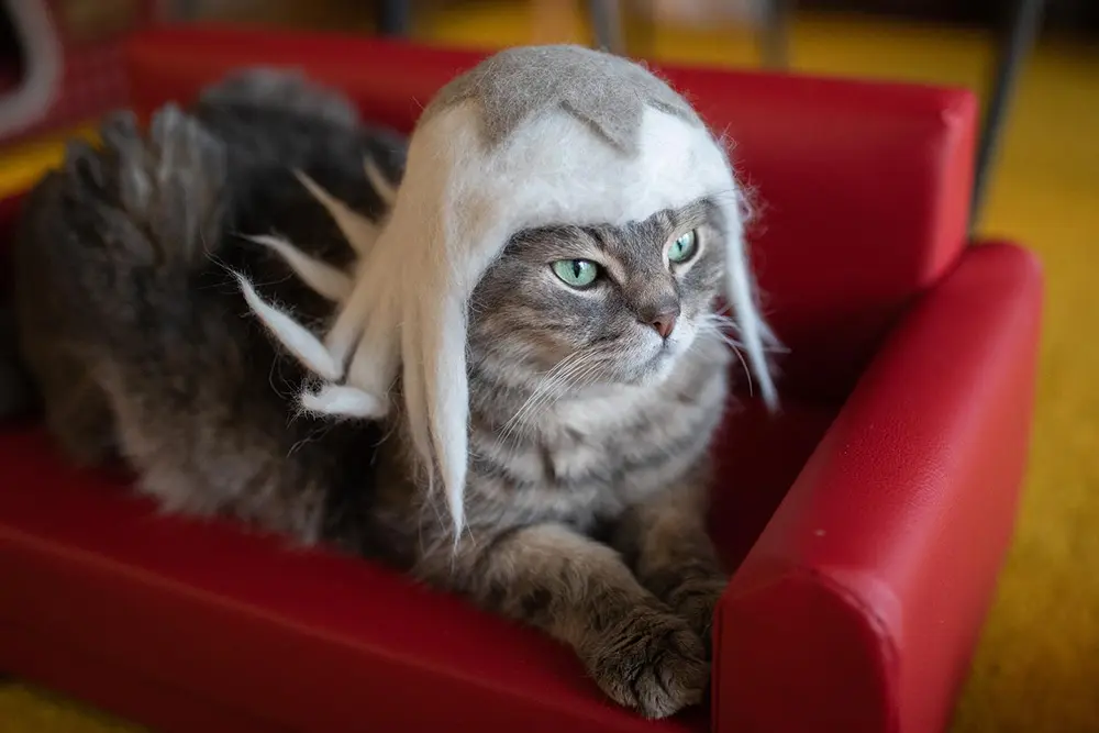 Creative Cat-Hair Hats by rojiman & umatan - Design Swan