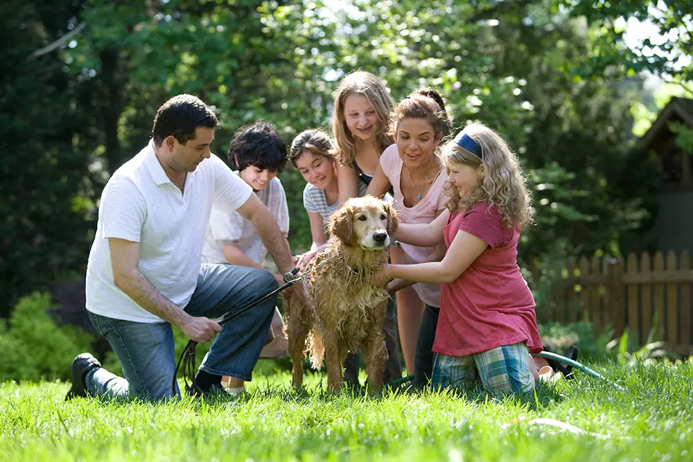 Trouver photographe pour votre portrait famille