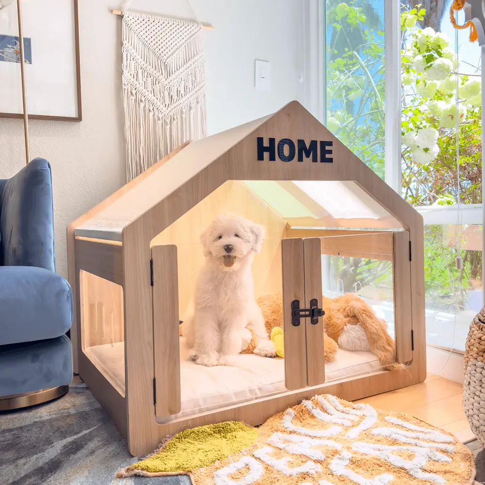 Top 10 Products To Give Your Pets The Quality + Comfy Life They Deserve -  Yanko Design