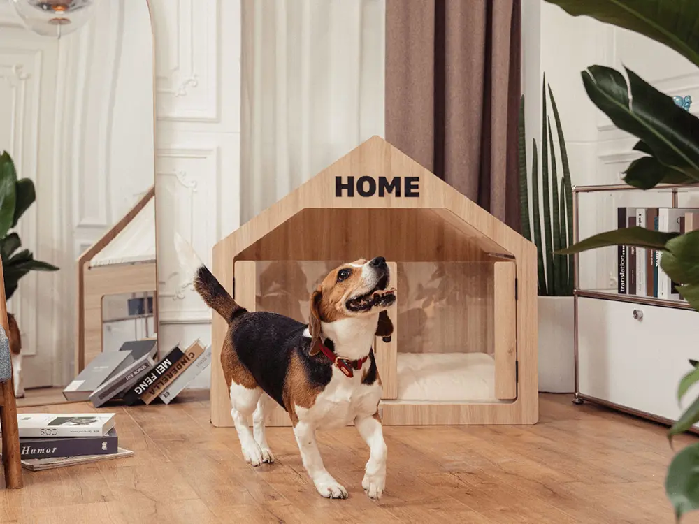 Top 10 Products To Give Your Pets The Quality + Comfy Life They Deserve -  Yanko Design