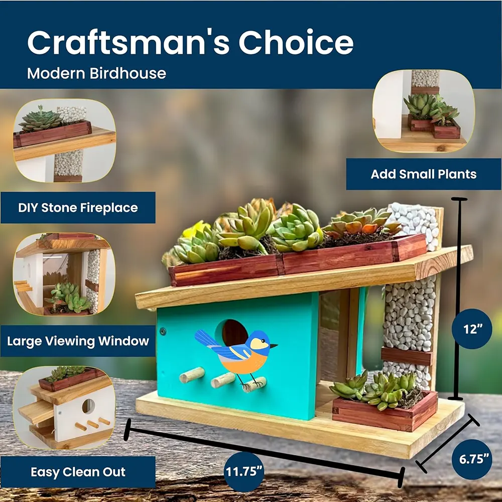 Build Your Own Birdhouse Kit
