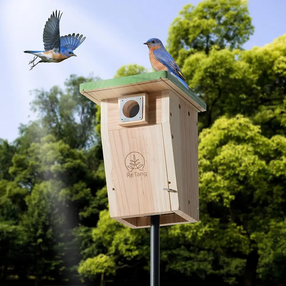 Cedar Bird House with Metal Predator Guard