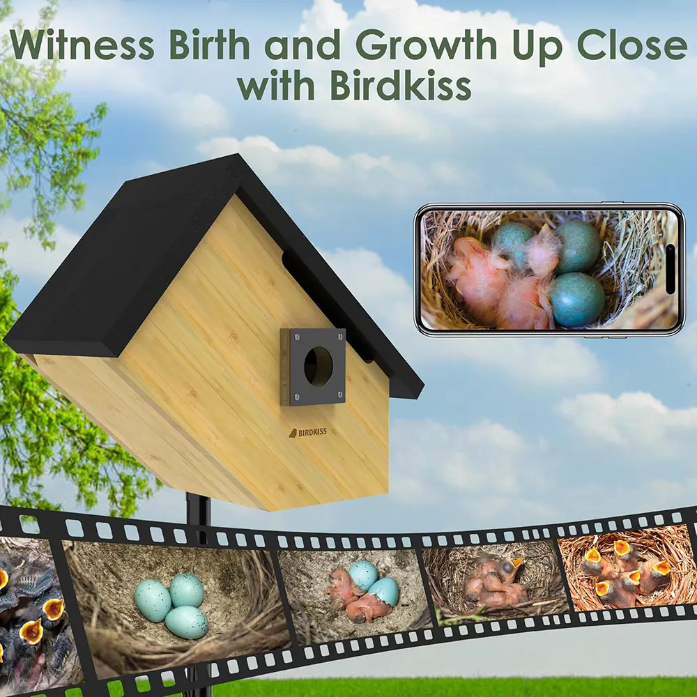 Smart Bird Houses for Outside – Solar Powered