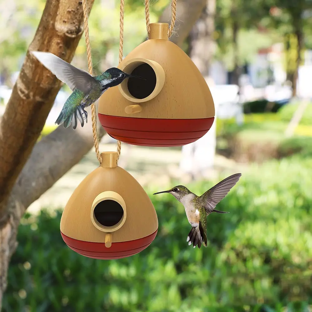 Hummingbird House